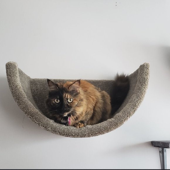 New Wall mounted cat bed - Picture 15 of 16